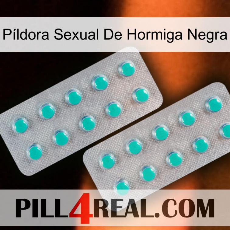 Píldora Sexual De Hormiga Negra 29